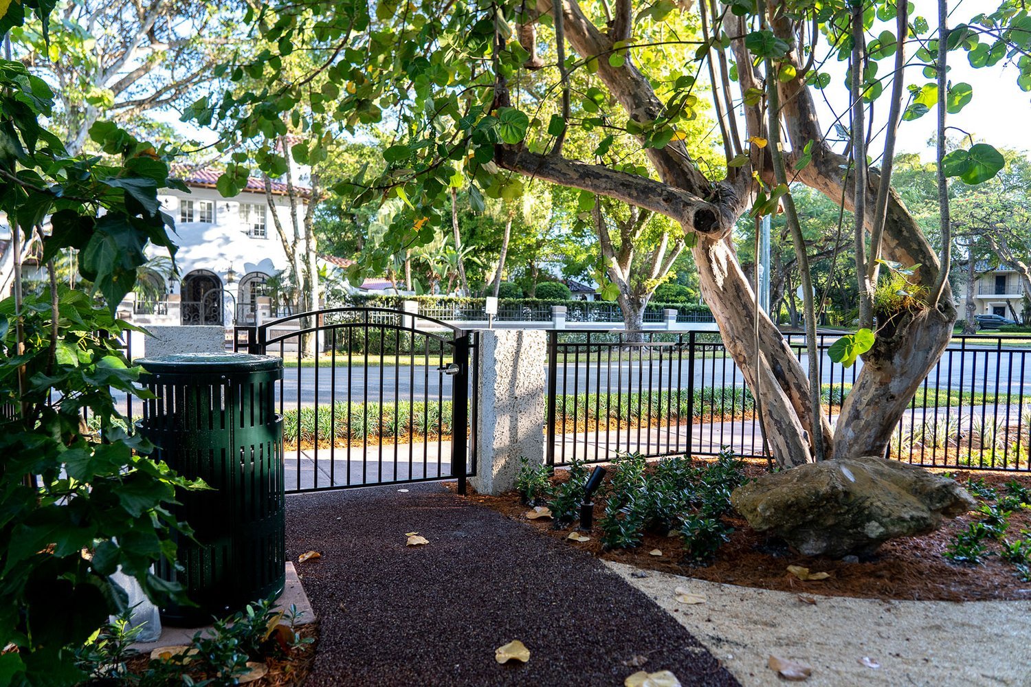Lamar Louise Curry Park 6