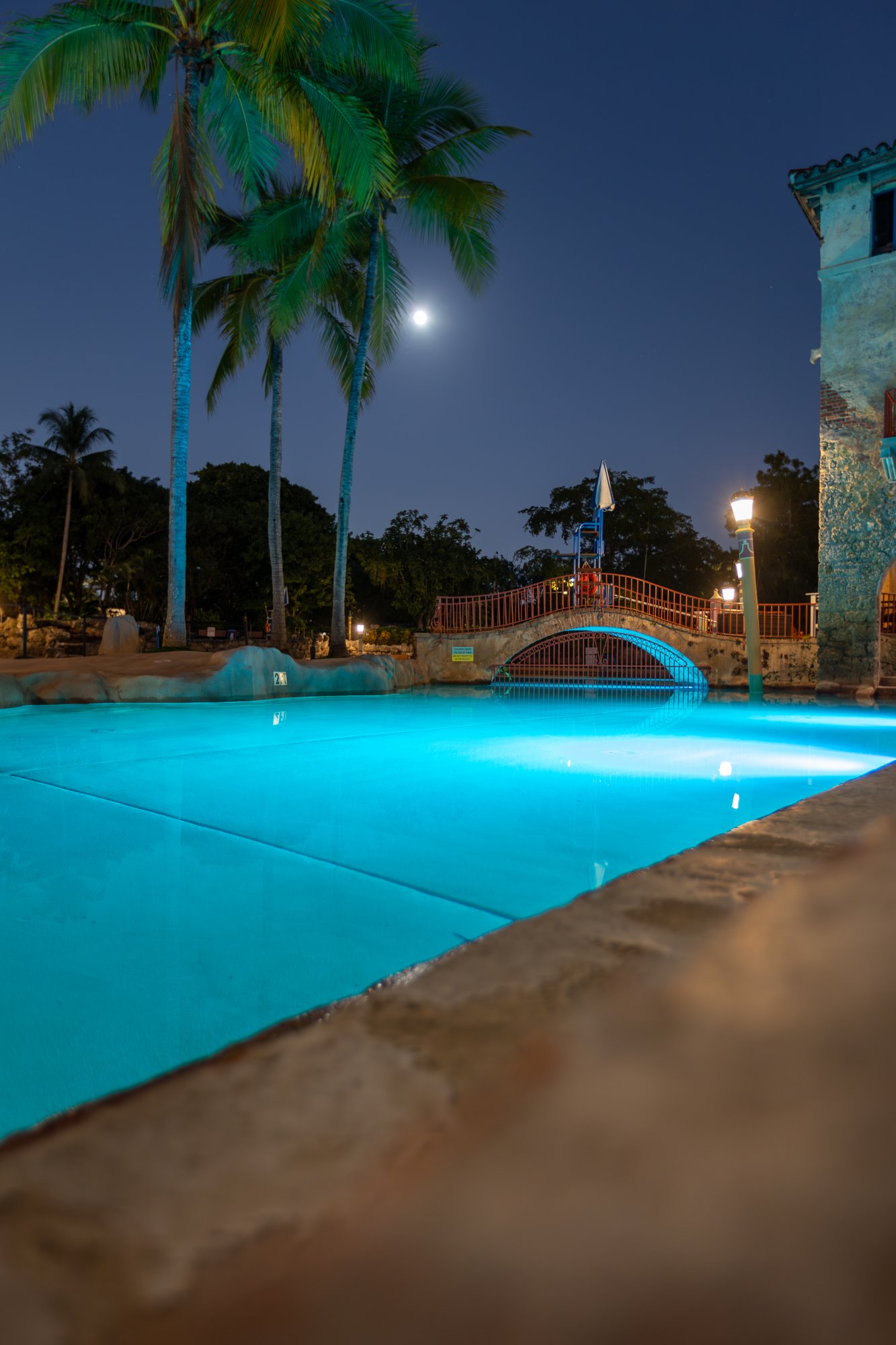 Venetian Pool 36