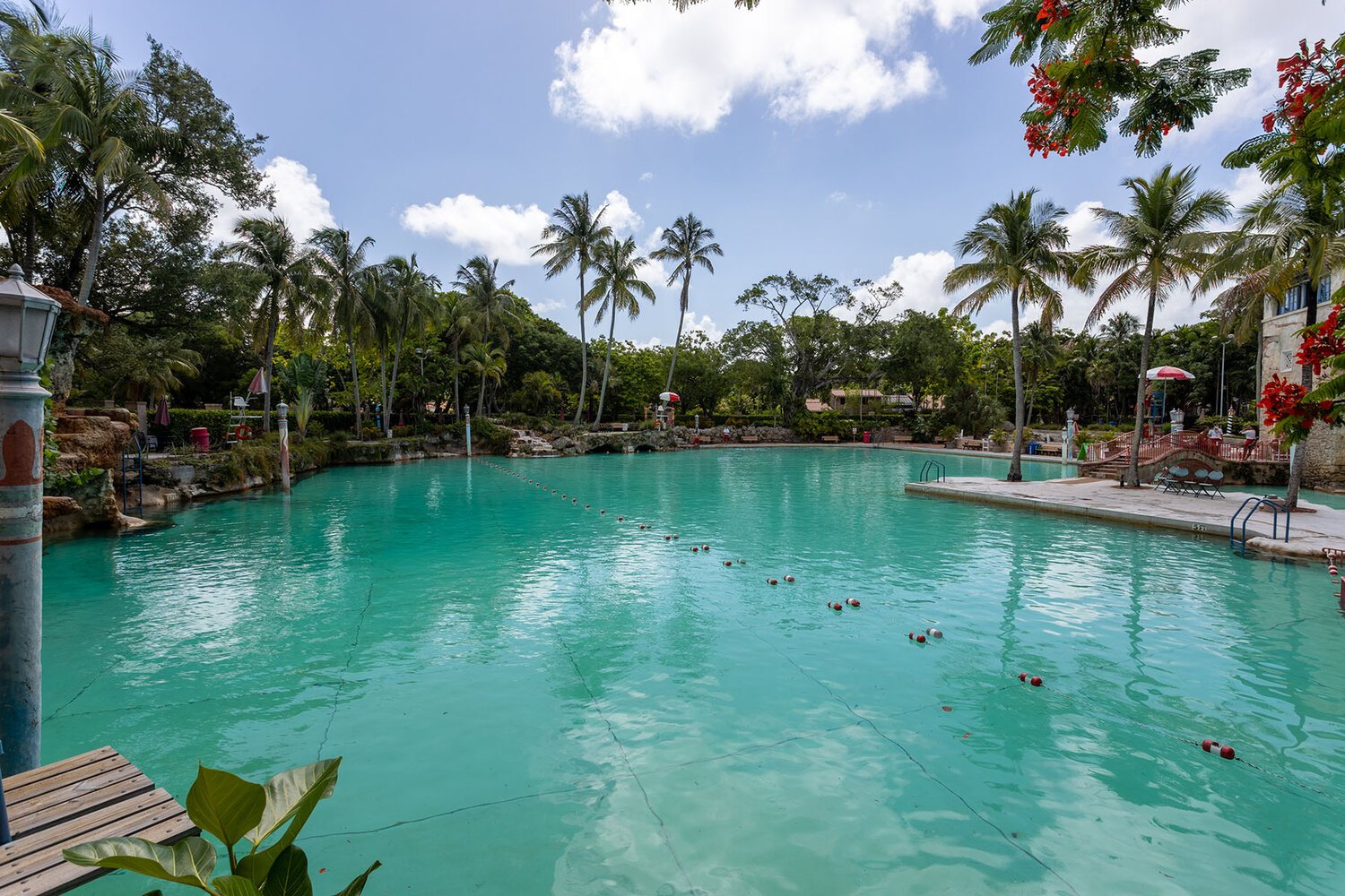 Venetian Pool 61